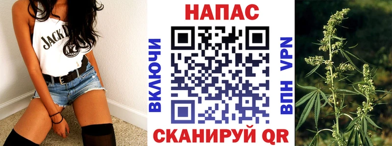 Наркотические вещества Оса МАРИХУАНА  Меф мяу мяу  Гашиш 