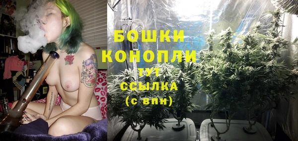 стаф Верхний Тагил