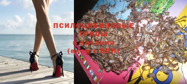 стаф Верхний Тагил