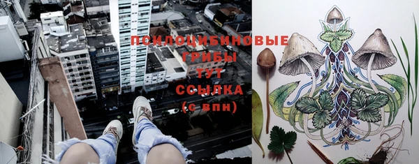spice Верея