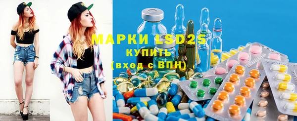 spice Верея