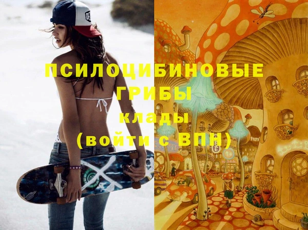 стаф Верхний Тагил