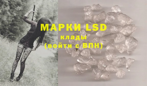 spice Верея