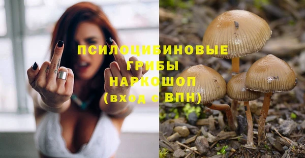 spice Верея